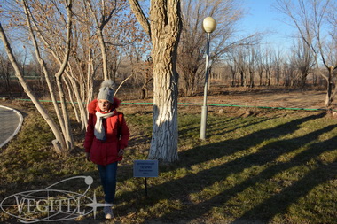 November 2014, Soyuz TMA-15M launch tour - Baikonur cosmodrome tours photo galleries